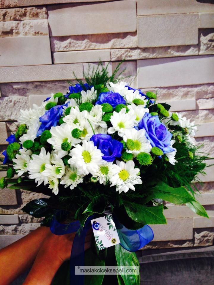 Mavi Güllü Kirçiçegi  Bukrti çiçek -Cs-12